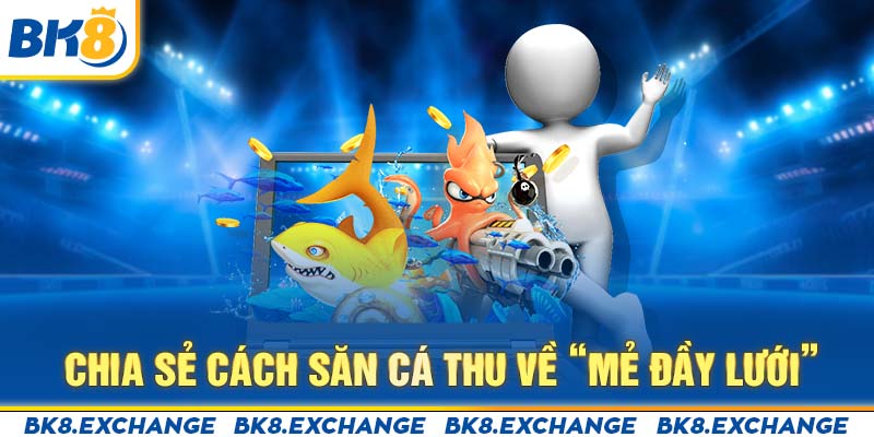 Chia sẻ cách săn cá thu về “mẻ đầy lưới”