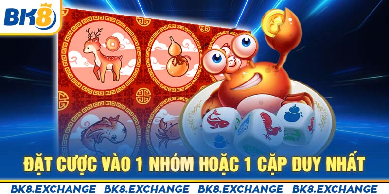 Đặt cược vào 1 nhóm hoặc 1 cặp duy nhất 